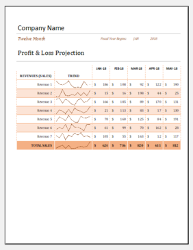 Profit and loss statement template